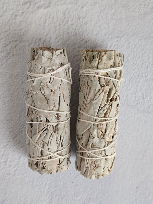 White sage bundle set or two - top down view